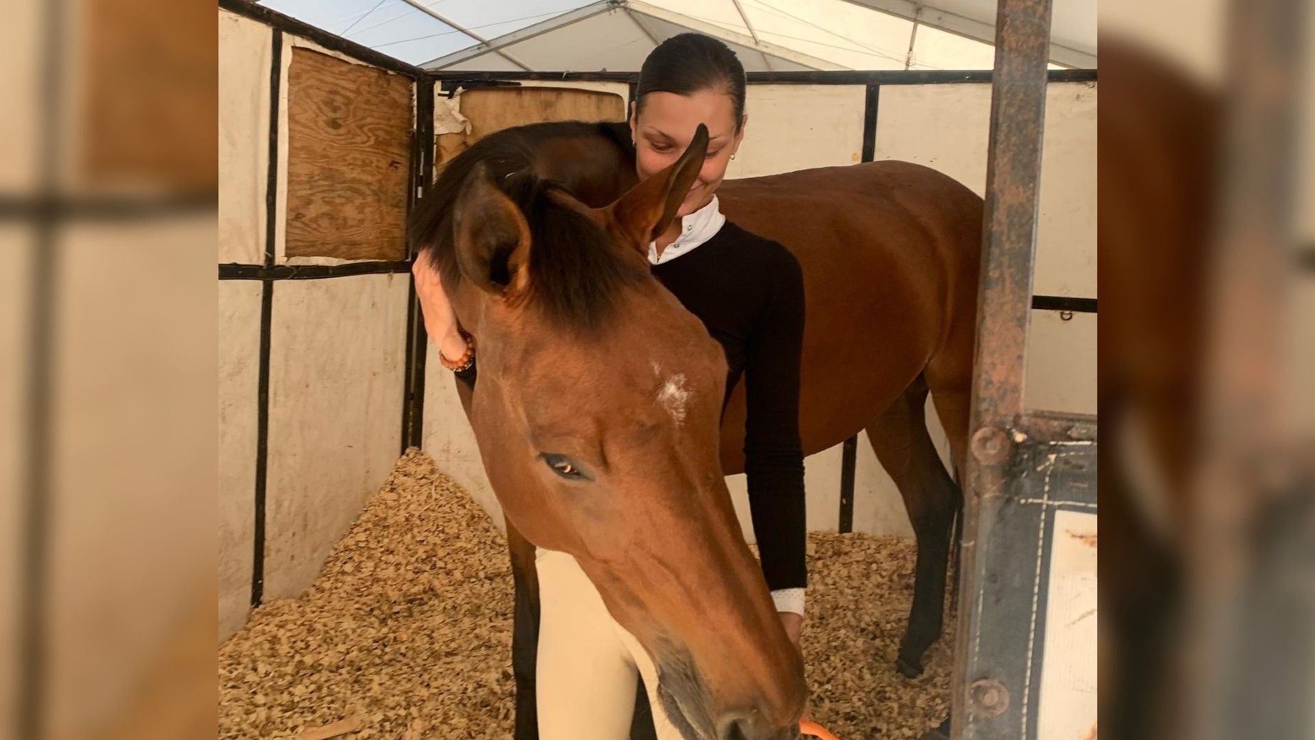I cavalli aiutano Bella a trovare la pace mentale