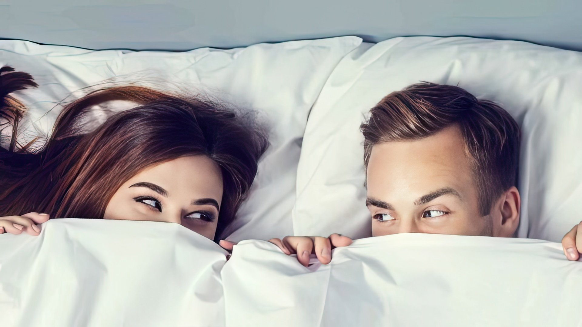 Non amano sperimentare e preferiscono un ambiente domestico e confortevole