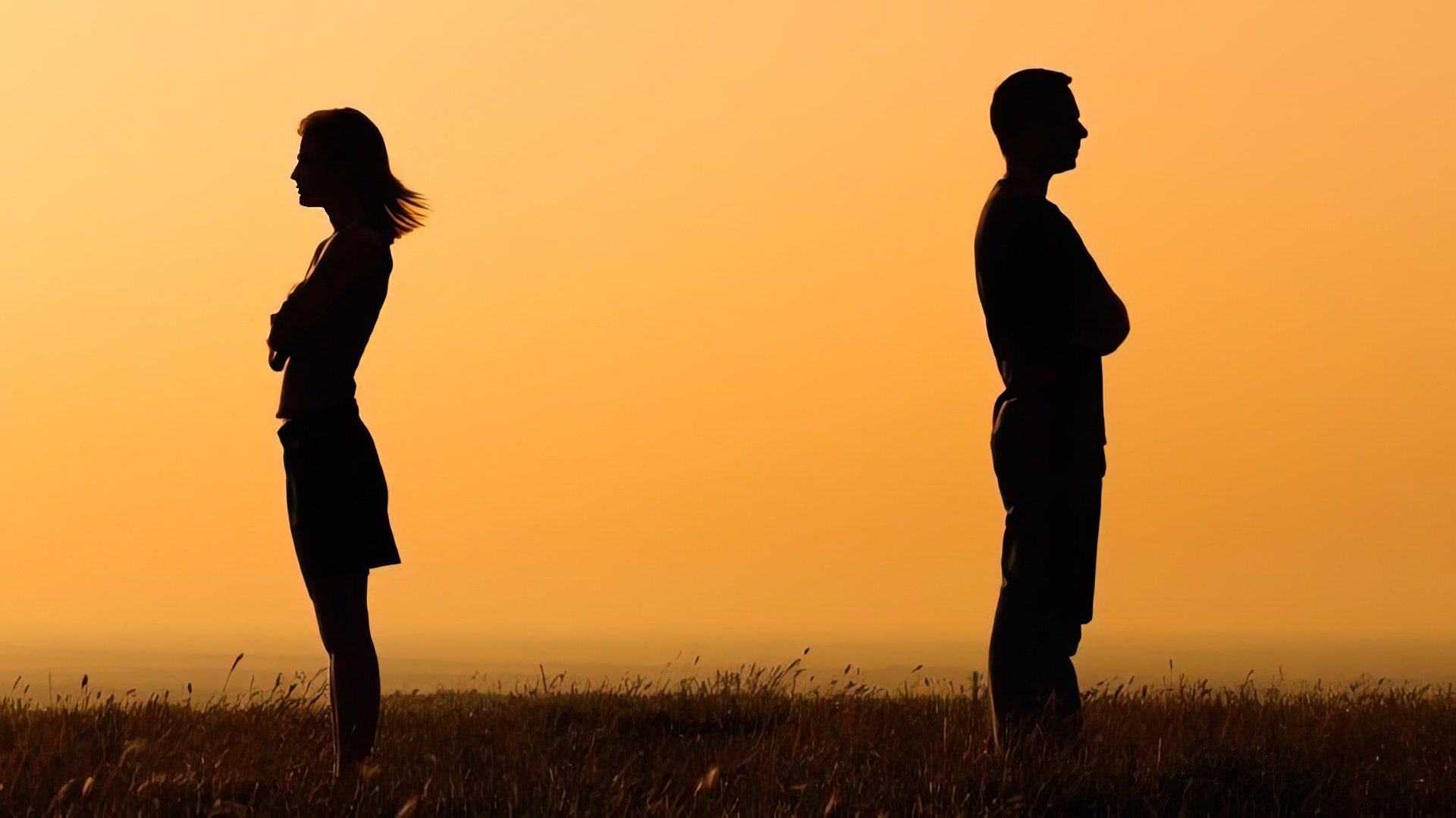 Quali segni non sono adatti ai Gemelli?