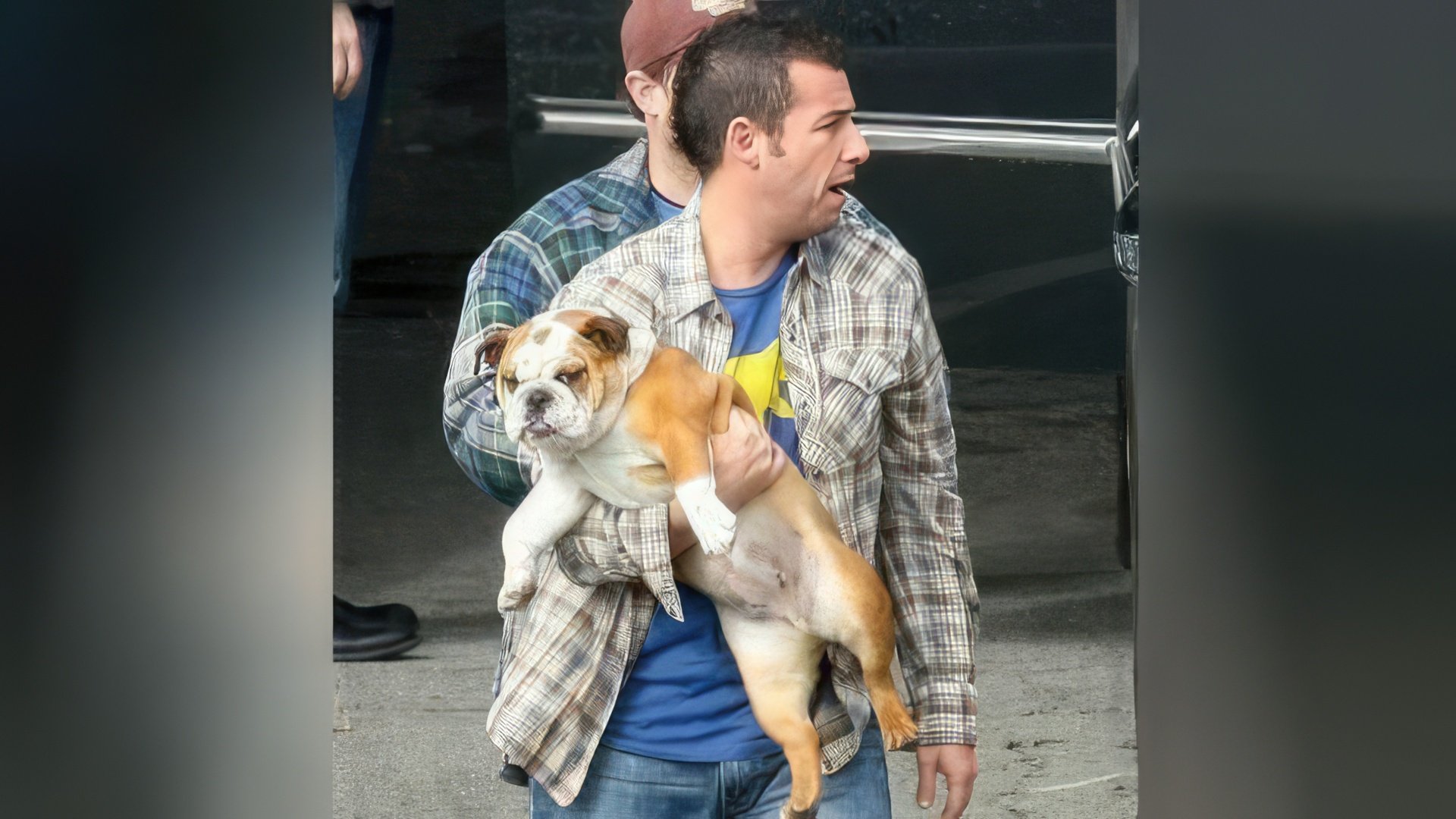 Adam Sandler e il suo cane Matzball
