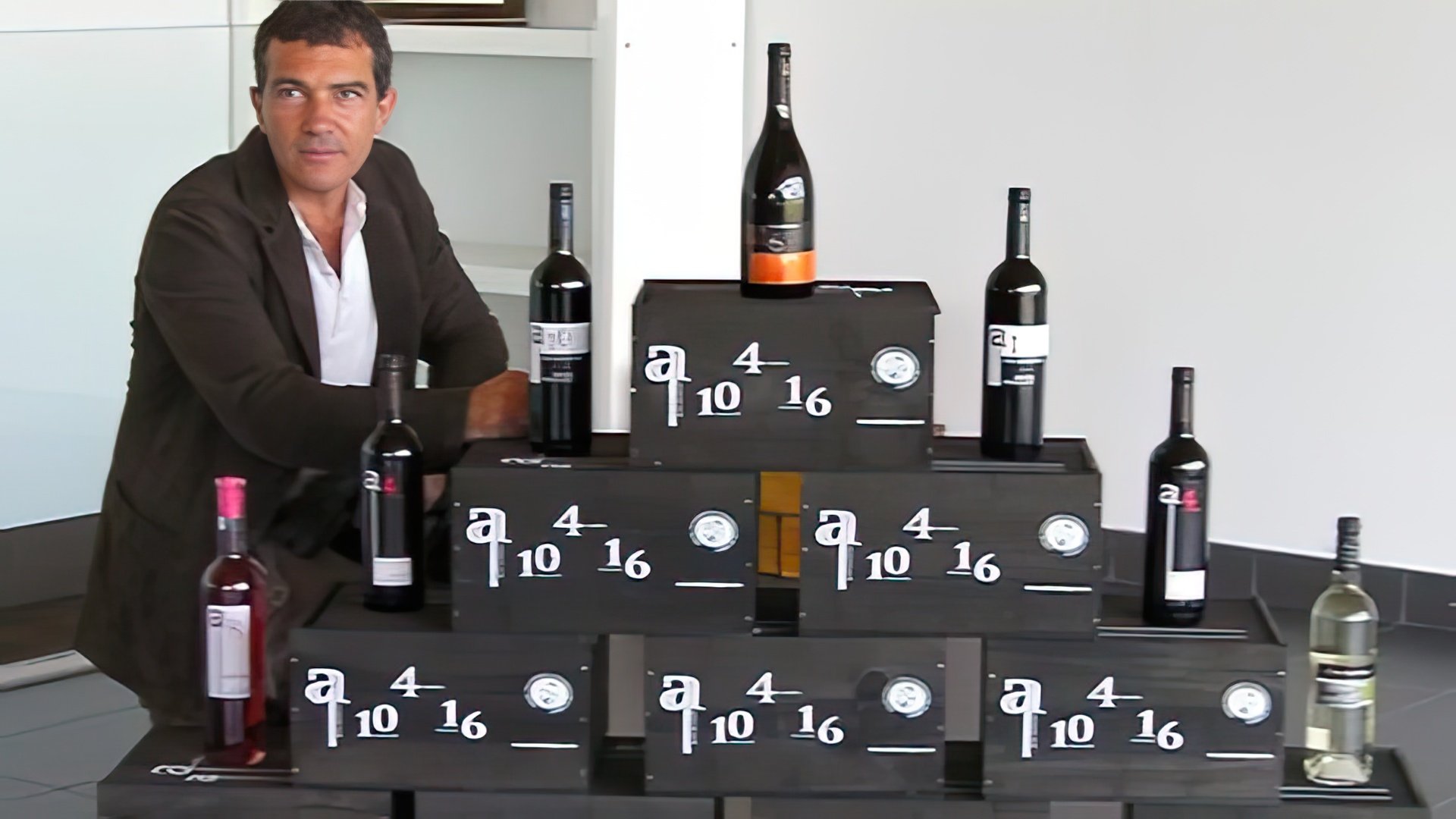 Antonio Banderas si dedica alla produzione di vino