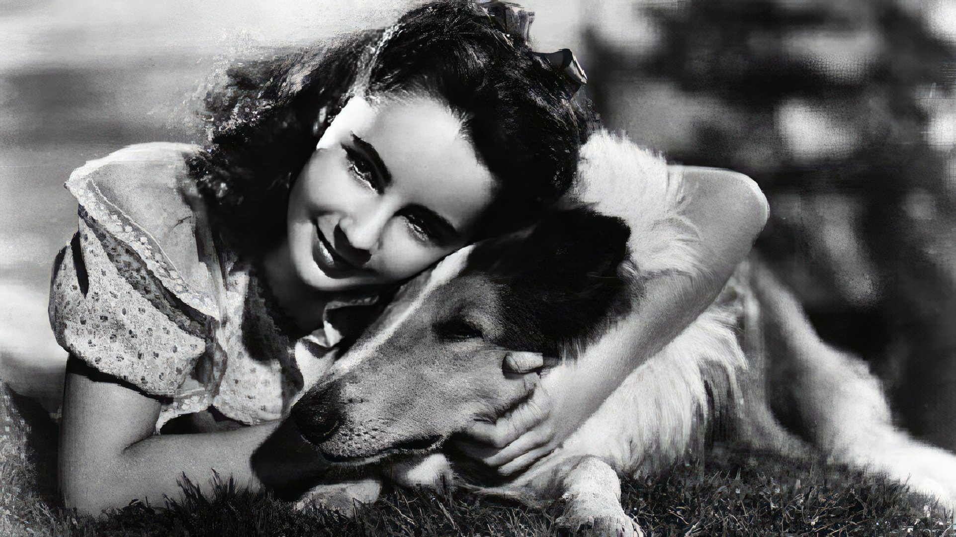 Una scena dal film 'Lassie Come Home'