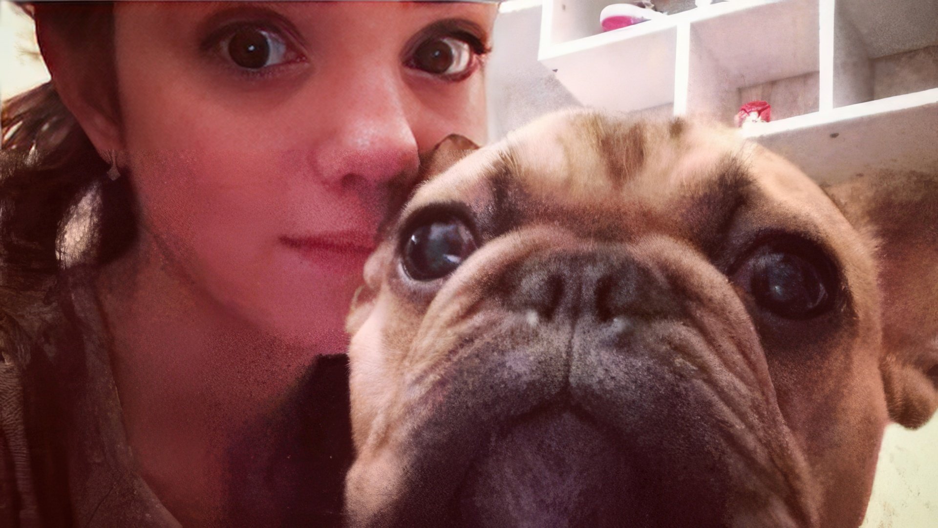 Evgenija Medvedeva e il suo amato bulldog Jerry