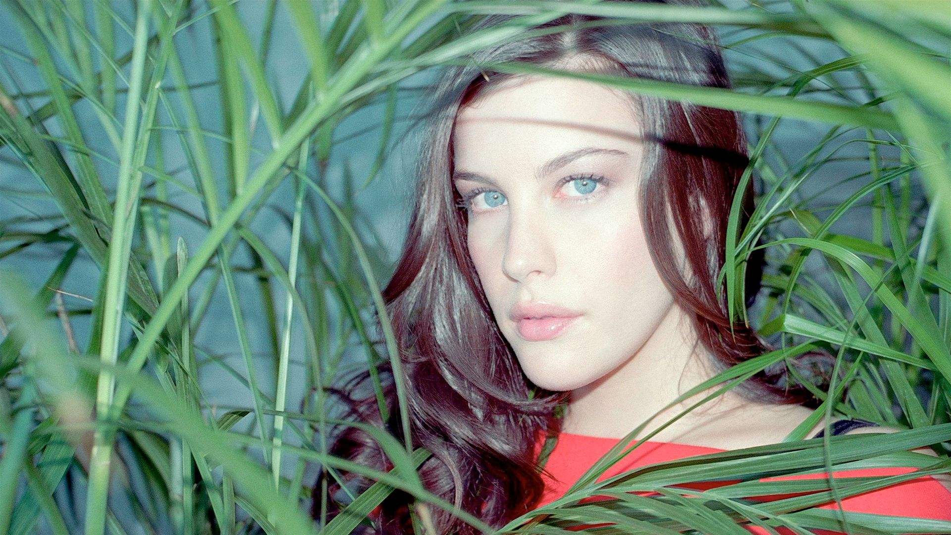 Segno Zodiacale Liv Tyler è Cancro