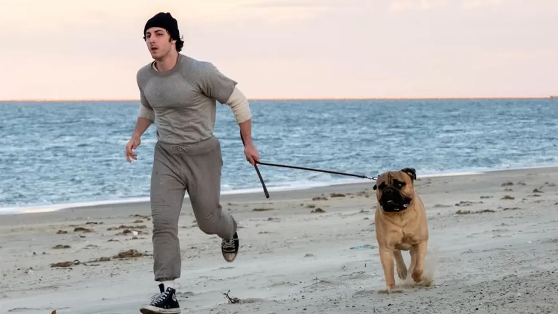 Anthony Ippolito nei panni di Sylvester Stallone