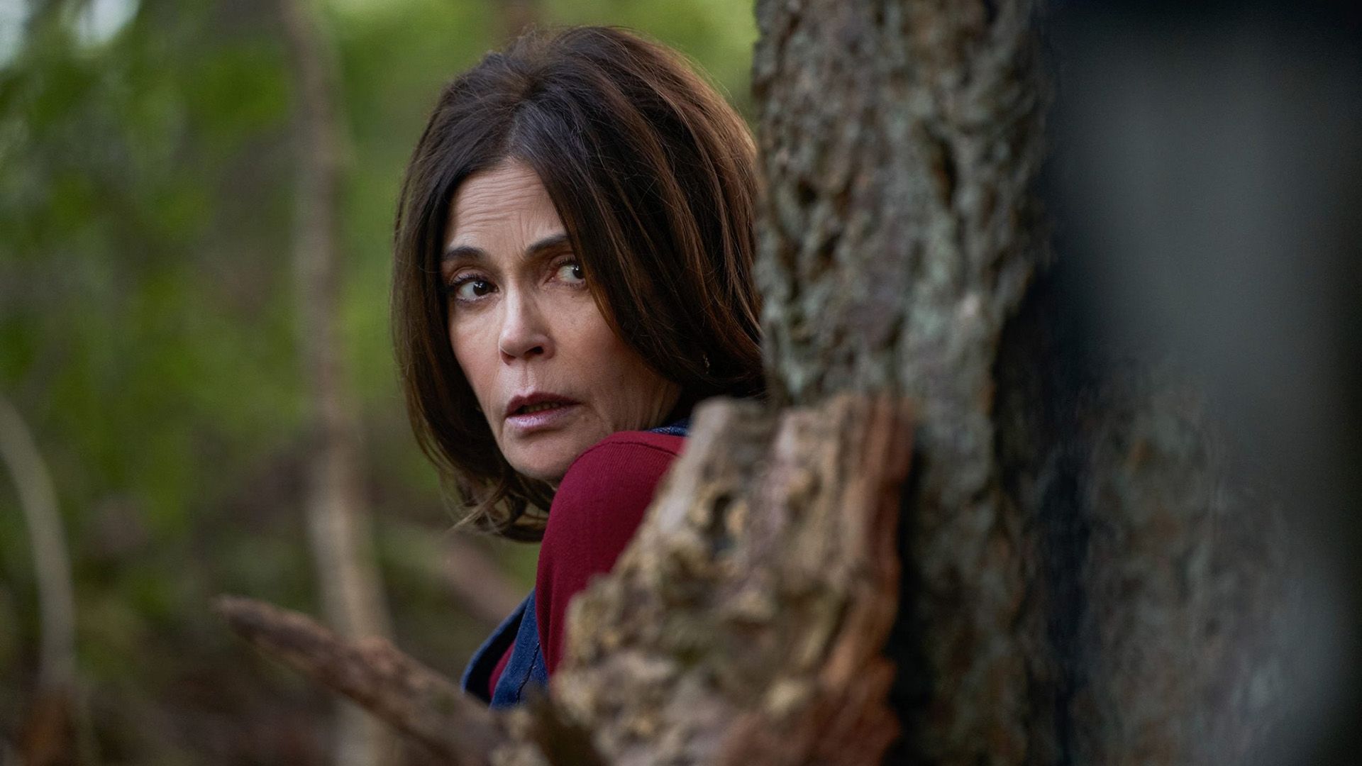Teri Hatcher sbircia nervosamente da dietro un albero