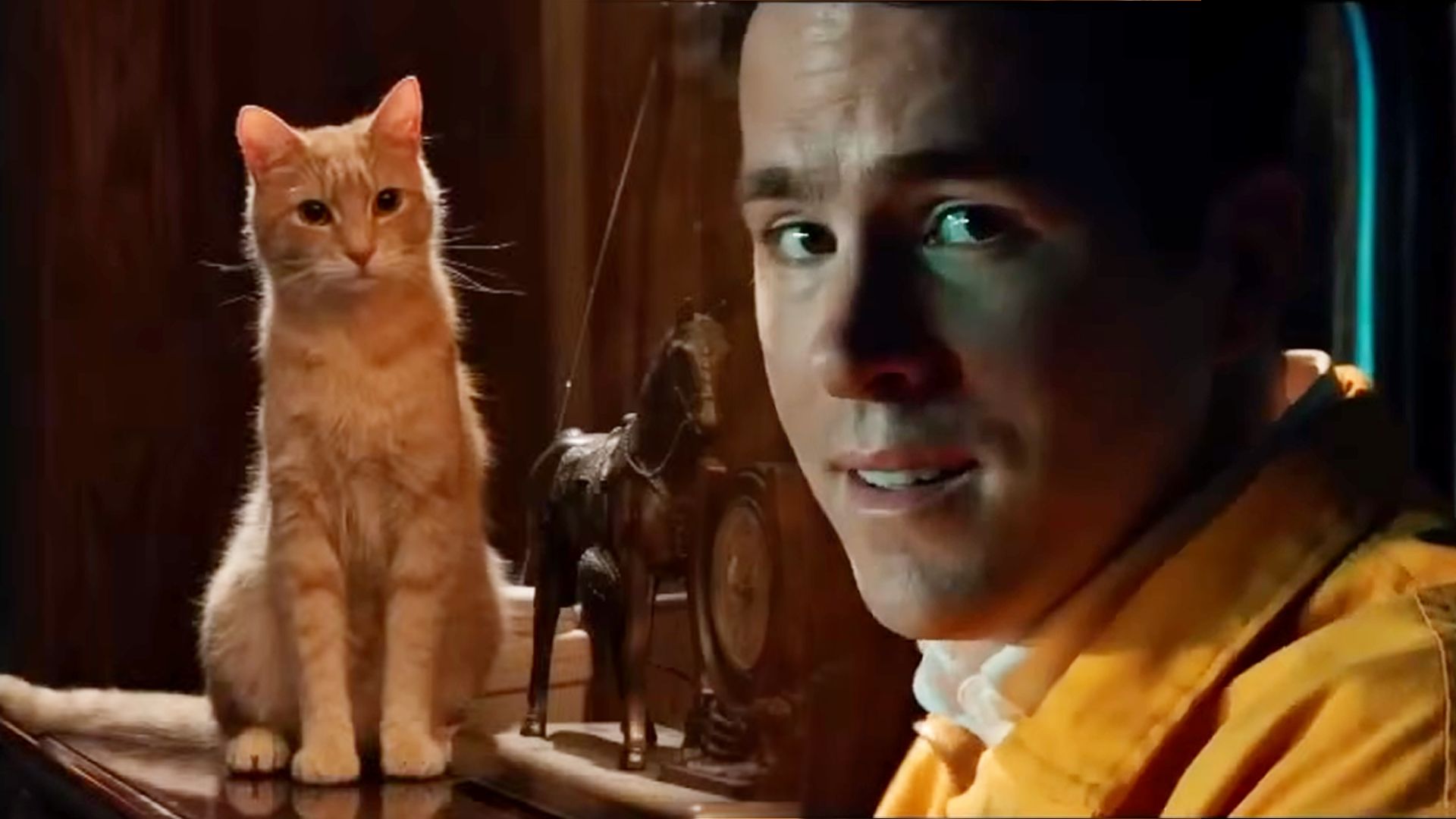 Un gatto rosso e l'attore Ryan Reynolds seduti nell'interno di un'auto
