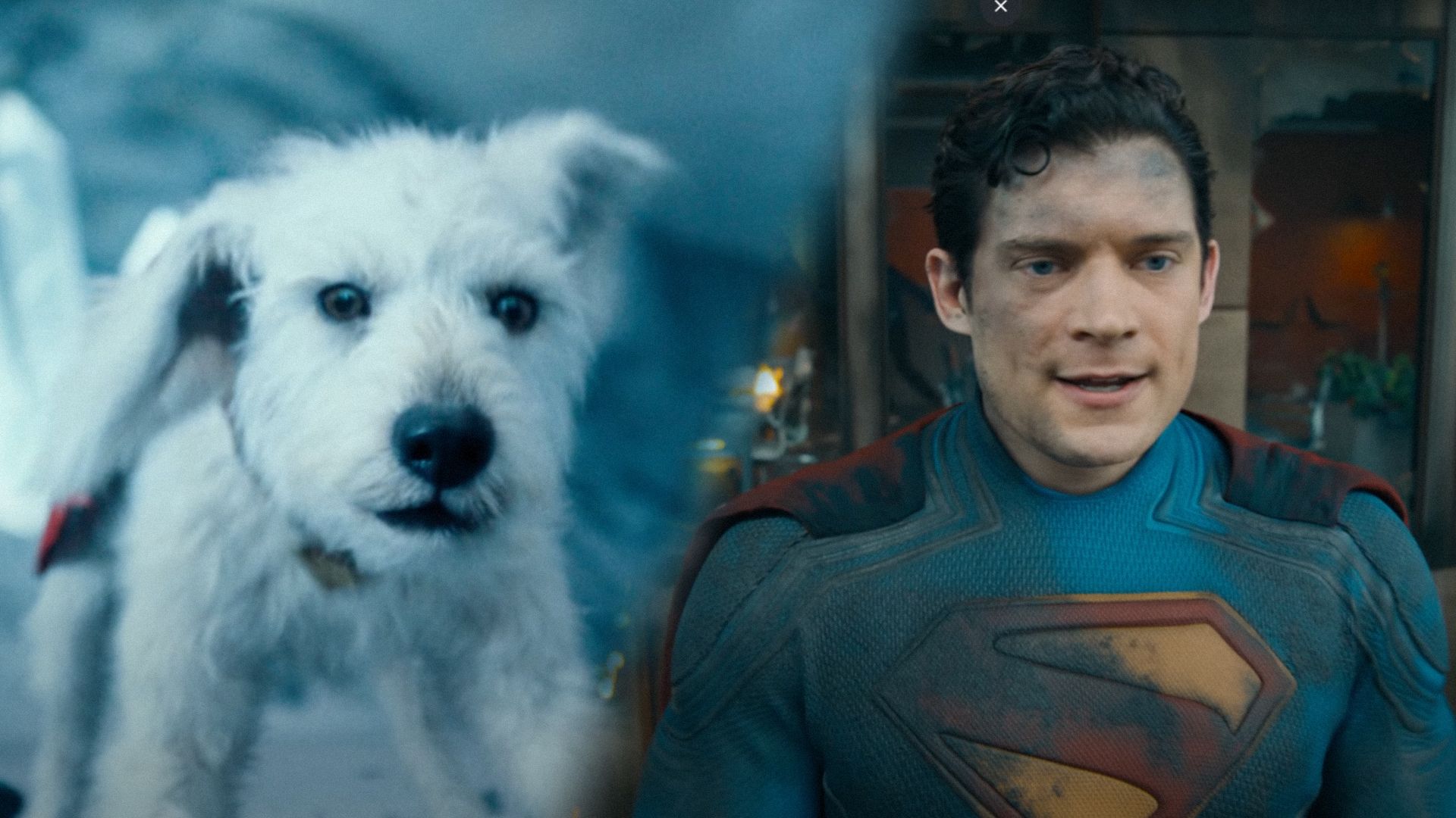 Un cane bianco con un mantello rosso sulla schiena guarda verso la telecamera, l'attore David Corenswet in un costume da supereroe sporco guarda di lato sullo sfondo di un edificio