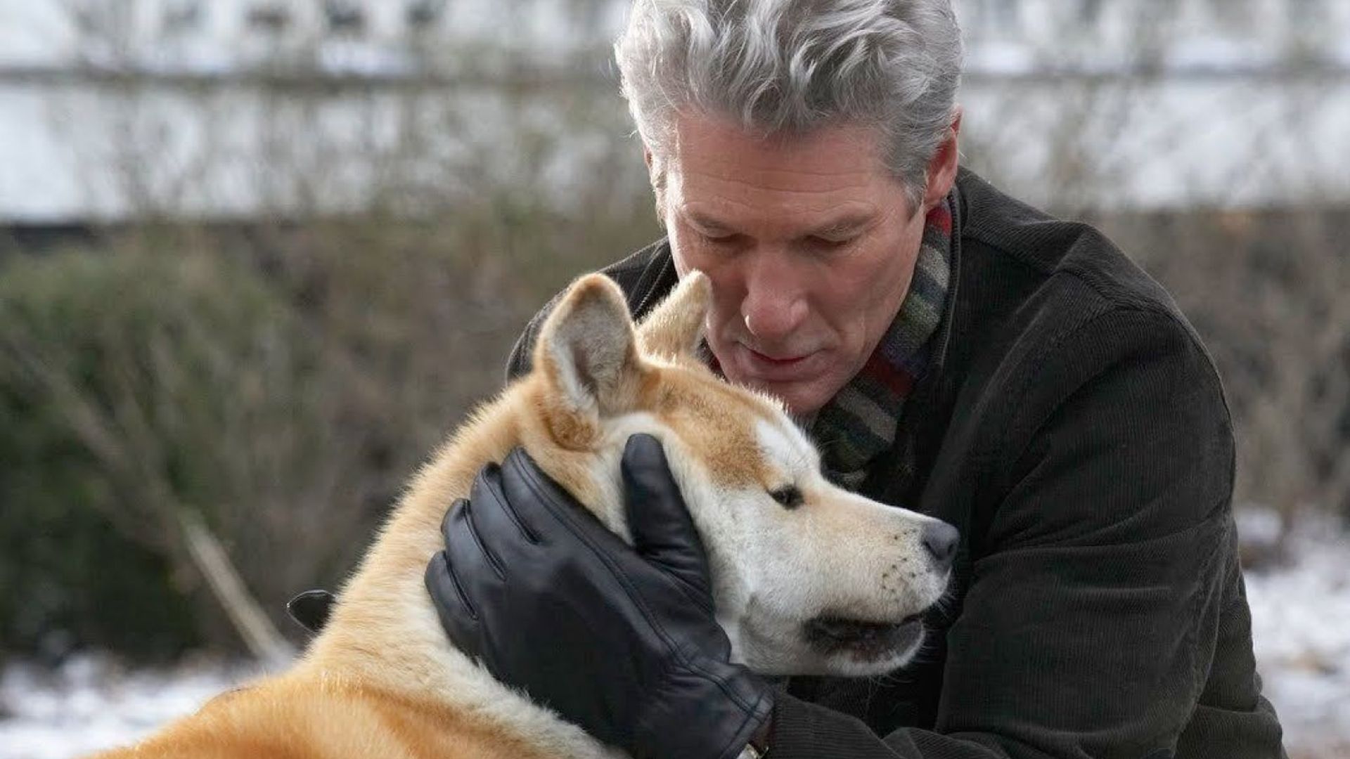 Richard Gere abbraccia un cane Akita Inu rosso