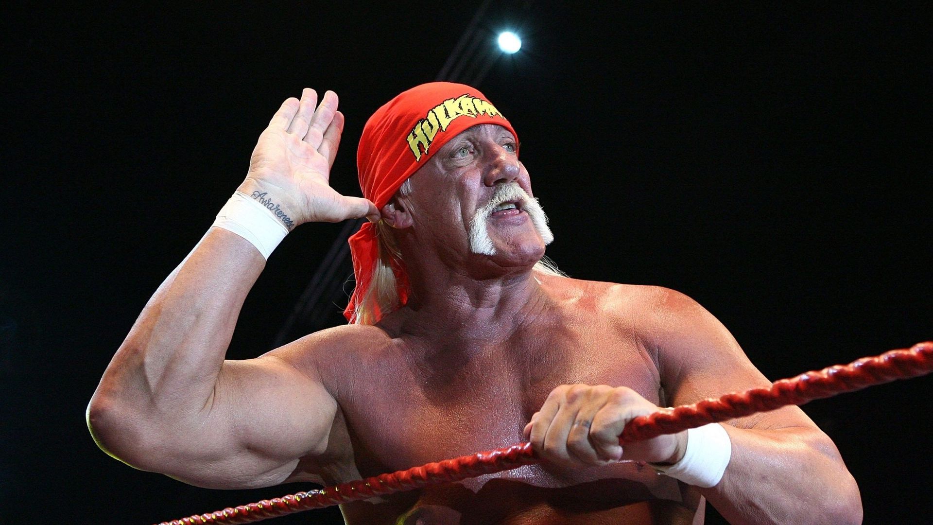 Il famoso wrestler Hulk Hogan è scomparso