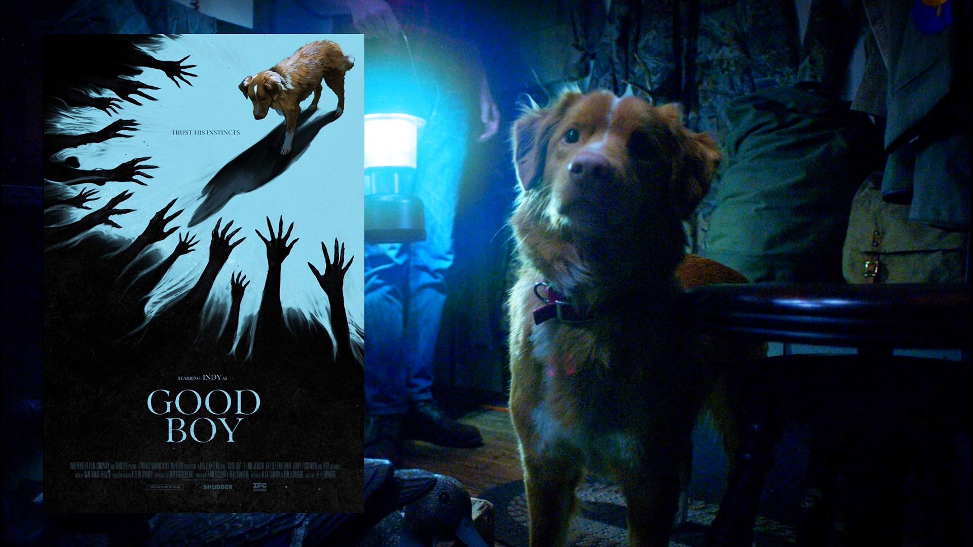 Poster del film che mostra un cane rosso che guarda ombre di mani, con lo stesso cane in piedi accanto a persone con una torcia sul lato destro