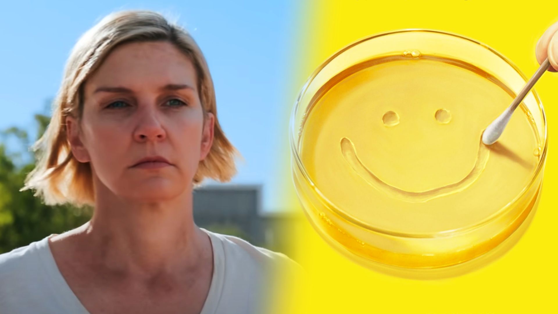Piastra di Petri su sfondo giallo, a sinistra il volto dell'attrice Rhea Seehorn