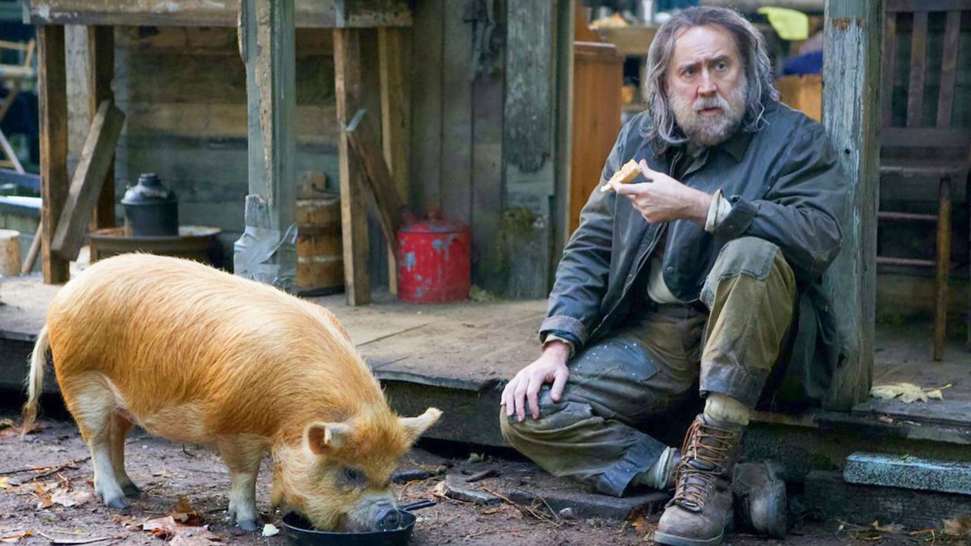 Nicolas Cage con la barba seduto sul portico di una casa con del cibo in mano accanto a un maiale che mangia da una ciotola