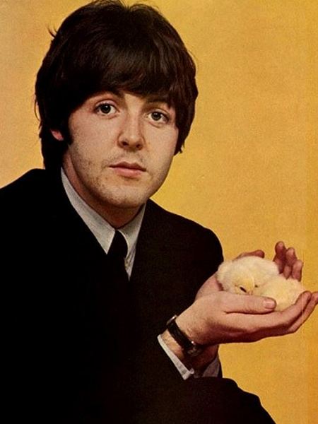 Paul McCartney foto 4