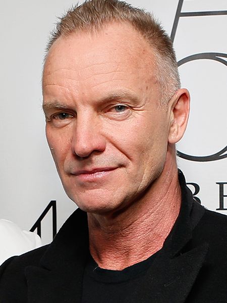 Sting foto 4
